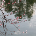 2103_primavera_2357