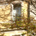 2103_primavera_2381