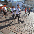 Tutta Dritta 2012