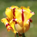 2404_roccioso_8356