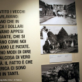 ...in America i dollari si trovavano appesi sulle piante