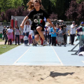 Salto in lungo