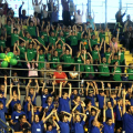 La ola sugli spalti del palasport
