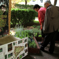 La mostra nel giardino della Provincia di Torino