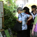La mostra nel giardino della Provincia di Torino