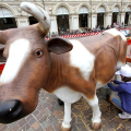 ITER - Centro per l’educazione all’ambiente e all’agricoltura Cascina Falchera: Mungiamo la mucca in piazza San Carlo