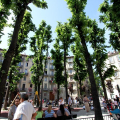 0506_montebello_3124