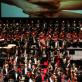 Torino per Mirandola, concerto a favore della popolazione colpita dal terremoto