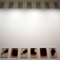 Senza Titolo (Esplosione), Elia Cantori - 2010