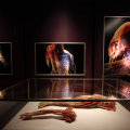 2809_humanbody_6225
