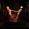 2809_humanbody_6234