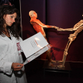 2809_humanbody_6251