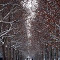 2212_neve_img_0478