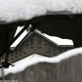 2212_neve_img_0507