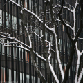 2212_neve_img_0535