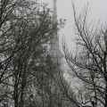 Mole Antonelliana - img_1939