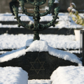 Campi israelitici - img_2361