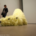 Have you seen me before? Paola Pivi - 2008