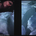 Gelo verticale, 2005 - Masbedo, Italia