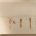 Oasis I, 2009