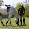 I cavalieri dell\'esercito