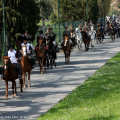 Parco del Meisino