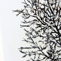 Particolare