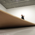 Frank Benson, MDF, 2008