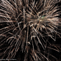 I fuochi d\'artificio