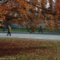 Parco del Valentino