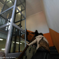 Cecchi Point