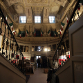 0403_senato_3289