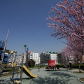 Circoscrizione 3: Giardino Filippo Piredda