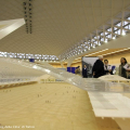 Pier Luigi Nervi – architettura come sfida