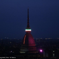 0405_molerosa_0207