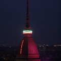 0405_molerosa_0233