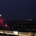 0405_molerosa_0241