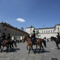 Arma di Cavalleria