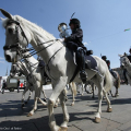 Fanfara a cavallo