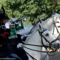 La Fanfara a cavallo
