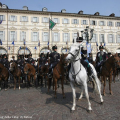 2205_cavalsfilata_6611