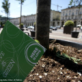 L\'amore è verde