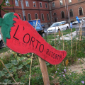 Ortopolitano Nizza