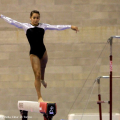 Esercizi alla trave