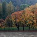 Giardini Ginzburg