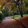 0811_autunno_2520