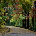 0811_autunno_2523