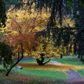 0811_autunno_2547