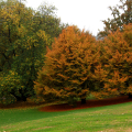 0811_autunno_2550