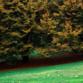 0811_autunno_2551